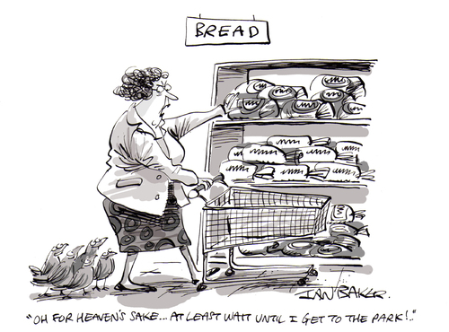 Cartoon: Feed the birds (medium) by Ian Baker tagged shop,store,bread,woman,lady,birds,hungry,food,magazine,gag,ian,baker,nature,greedy,humour,humor