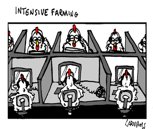 Cartoon: Intensive Farming (medium) by Carma tagged call,center,part,time,jobs,society,farming,animals,work