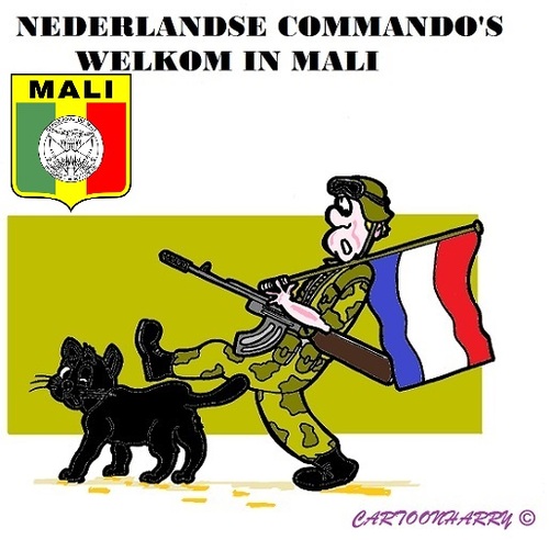 Cartoon: Mali (medium) by cartoonharry tagged mali,zwartekat,nederland,commando,welkom