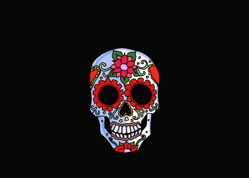 Cartoon: Spanish Skull (medium) by tonyp tagged arp,skull,red,flowers