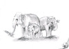 Cartoon: Elephas maximus indicus (small) by swenson tagged animal tier elefant elephant asien asiatisch asia
