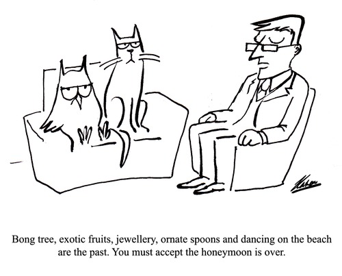 Cartoon: Spooning (medium) by pinkhalf tagged lear,cat,owl,relationship,poem,therapy,woman,man