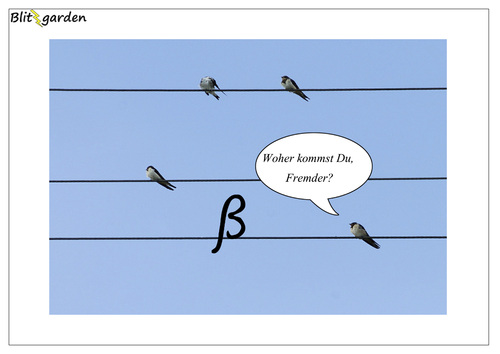 Cartoon: Fremder (medium) by Oliver Kock tagged fremder,anders,vogel,vogels,neugier,schwarm,anderssein,misstrauen,cartoon,blitzgarden