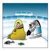 Cartoon: global warming (small) by toons tagged zebra,eskimo,igloo,global,warming,environment,ice,arctic