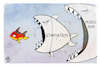 Cartoon: Stagnation (small) by Kostas Koufogiorgos tagged karikatur,koufogiorgos,deutschland,fisch,stagnation,rezession,wirtschaft,haifischbecken