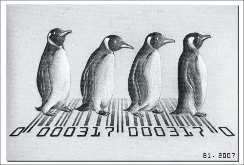 Cartoon: Abbey Road (medium) by Penguin_guy tagged beatles,animals,tiere,pets,pinguine,penguins,pinguine,tiere,vögel,natur,seetaucher,taucher,strichcode,code,barcode