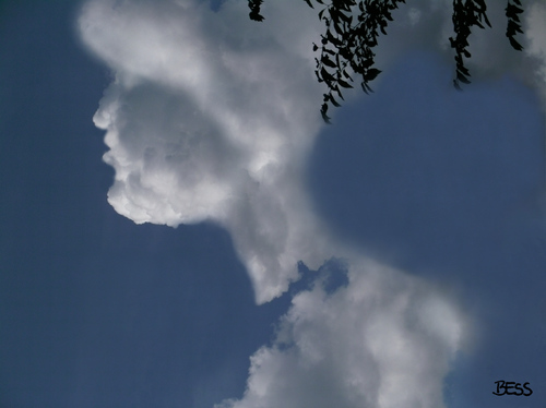 Cartoon: cloud face 12 (medium) by besscartoon tagged wolken,himmel,gesicht,profil,portrait,frau,bess,besscartoon