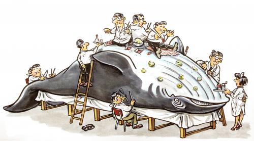 japanese whale research