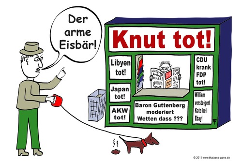Cartoon: Knut tot! (medium) by thalasso tagged knut,eisbär,zeitung,kiosk,zoo,berlin
