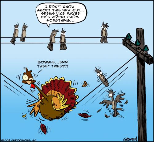Cartoon: Happy Thanksgiving (medium) by GBowen tagged thanksgiving,turkey,holiday,bird,birds