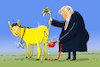 Cartoon: Trumps Goldesel Musk (small) by leopold maurer tagged trump,musk,elon,donald,usa,präsidentschaft,wahlkampf,spenden,goldesel,milliardär,tesla,space,geld,finanzierung,republikaner,präsident,leopold,maurer,cartoon,karikatur