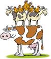 Cartoon: Farmyard acrobatics (small) by Ellis Nadler tagged cow goat chickens hen cock milk farm animals pyramid horns dairy