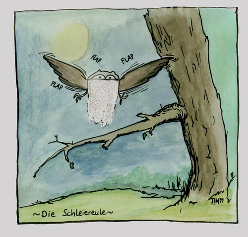 Cartoon: Die Schleiereule (medium) by timfuzius tagged eule,tiere,vögel,wald,uhu,vogel