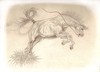 Cartoon: Horse (small) by Mirka tagged horse,animal,beauty