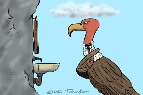Cartoon: Vulture (medium) by Mandor tagged shaving,vulture