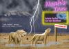 Cartoon: Last minute (small) by Michael Böhm tagged bible animal flood cartoon lion noah bibel löwe flut arche sintflut