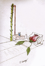 Cartoon: rose (small) by aytrshnby tagged rose,in,sleep