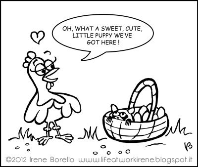 Cartoon: ELLIE AND THE RACCOON (medium) by IreneBorello tagged raccoosn,chickens,seattle