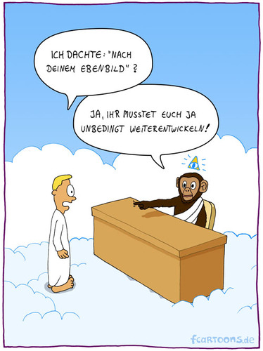 Cartoon: Gottes Ebenbild (medium) by Frank Zimmermann tagged gottes,ebenbild,schimpanse,affe,evolution,engel,schreibtisch,wolken