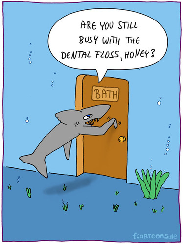 Cartoon: SHARKS BATH (medium) by Frank Zimmermann tagged shark,bath,bathroom,ocean,sea,dental