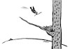 Cartoon: Tree and Birdnest (small) by sam seen tagged tree,birdnest