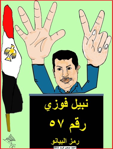 Cartoon: NABIL FAWZY 57 (medium) by AHMEDSAMIRFARID tagged election,egypt,revolution