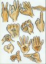 Cartoon: HANDS (small) by AHMEDSAMIRFARID tagged ahmed,samir,farid,funny,nice,hand,egyptair,cartoon,caricature