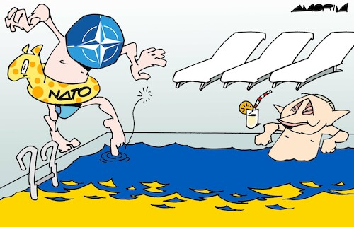 Cartoon: Cold water (medium) by Amorim tagged nato,ukraine,russia,putin