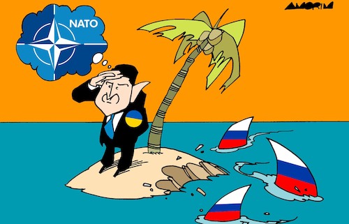 Cartoon: Desert island (medium) by Amorim tagged russia,ukraine,nato,zelensky