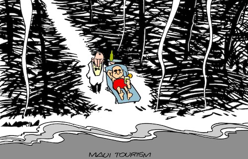 Cartoon: Selfishness (medium) by Amorim tagged hawaii,maui,wildfires,hawaii,maui,wildfires