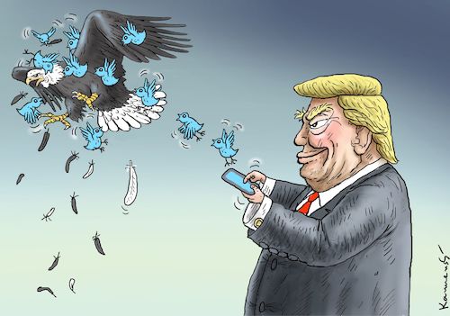 Amerikanischer Adler