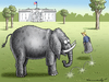 Cartoon: TRUMPEL TRUMP (small) by marian kamensky tagged obama,trump,präsidentenwahlen,usa,baba,vanga,republikaner,demokraten,faschismus