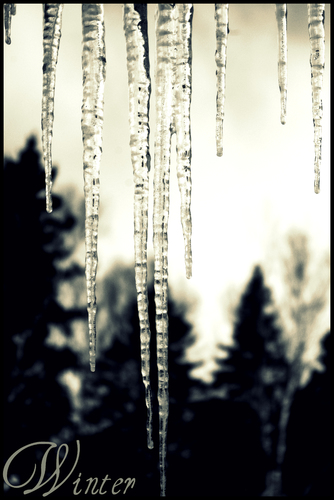 Cartoon: Winter! (medium) by Krinisty tagged winter,icicles,snow,cold,frozen,wet,dripping,krinisty,art,photography,denny,love,peace,gratitude