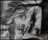 Cartoon: Death (small) by Krinisty tagged hanging,death,dark,graphite,pencil,sketch,scary,mourning,crying,tree,krinisty,art