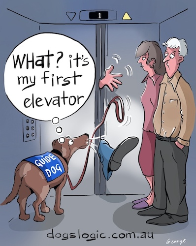 Cartoon: Guide Dogs (medium) by George tagged dogs