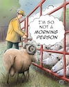 Woolmaker