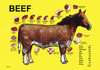Cartoon: beef (small) by Lubomir Kotrha tagged horse,beef,pork,veal,chicken