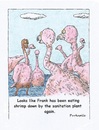 Cartoon: brown flamingo (small) by armadillo tagged flamingo,sanitation,shrimp
