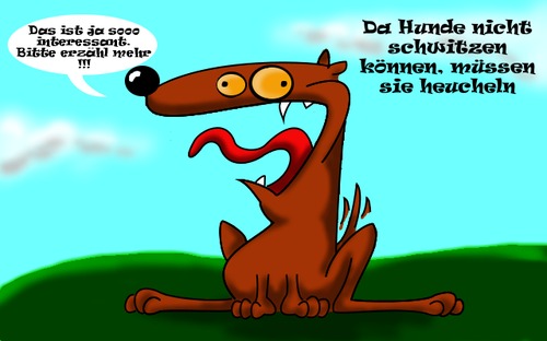 Cartoon: Hunde in der Hitze (medium) by NiRo tagged hund,hitze,natur,tiere