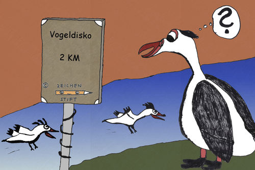 Cartoon: Vögeldisko (medium) by zeichenstift tagged tierwelt,witz,unsinn,klamauk,vogeldisko,fliegen,spaß,fun,disco,funny,vögel,birds
