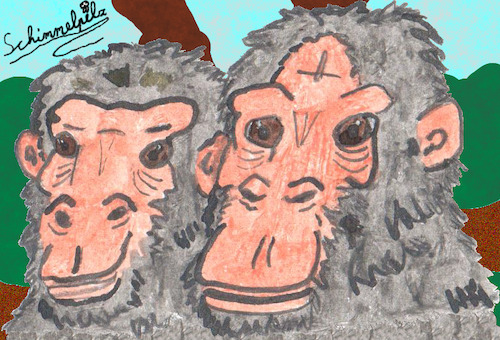 Cartoon: Schimpansenpaar - Chimp Pair (medium) by Schimmelpelz-pilz tagged affe,affen,schimpanse,schimpansen,menschenaffe,menschenaffen,paar,pärchen,pair,ape,apes,monkey,chimp,chimps