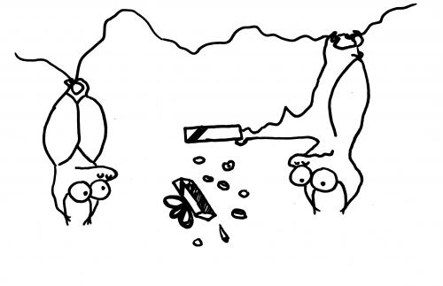 Cartoon: Fledermausromantik. (medium) by puvo tagged fledermaus,geschenk,pralinen