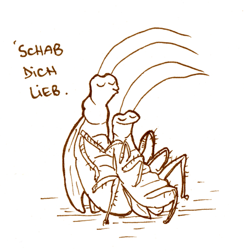 Cartoon: Schab dich lieb. (medium) by puvo tagged couple,love,romance,cockroach,romantik,pärchen,paar,liebe,schabe