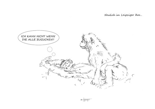Cartoon: Neulich im Leipziger Zoo (medium) by Jori Niggemeyer tagged joricartoon,niggemeyer,cartoon,paar,paare,karikatur,bonobo,schimpanse,affe