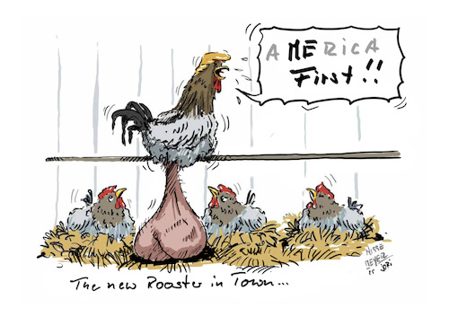 The New Rooster in Town...