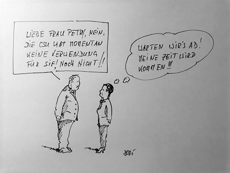 Cartoon: Umzugsgedanken? (medium) by Jori Niggemeyer tagged noafd,politik,cartoon,joricartoon,fraukepetry,seehofer,csu