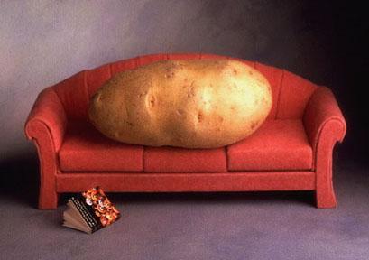 Cartoon: Couch Potato (medium) by Karl Toffel tagged toffel