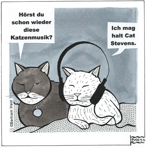 Cartoon: Katzenmusik (medium) by BAES tagged cat,stevens,katzen,musik,cat,stevens,katzen,musik