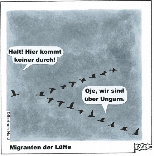 Cartoon: Migranten der Lüfte (medium) by BAES tagged flucht,flüchtlinge,migranten,europa,asylrecht,asyl,eu,zaun,refugees,zugvögel,vögel,flüchtlingskrise,krise,politik,grenzen,zäune,syrien,ungarn,konflikt,migranten,flüchtlinge,flucht,krise,politik,grenzen,zäune,syrien,ungarn,konflikt