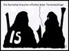 Cartoon: germanwings (small) by Andreas Prüstel tagged flugzeugabsturz,germanwings,selbstmord,pilot,deutsche,is,islamischer,staat,cartoon,karikatur,andreas,pruestel